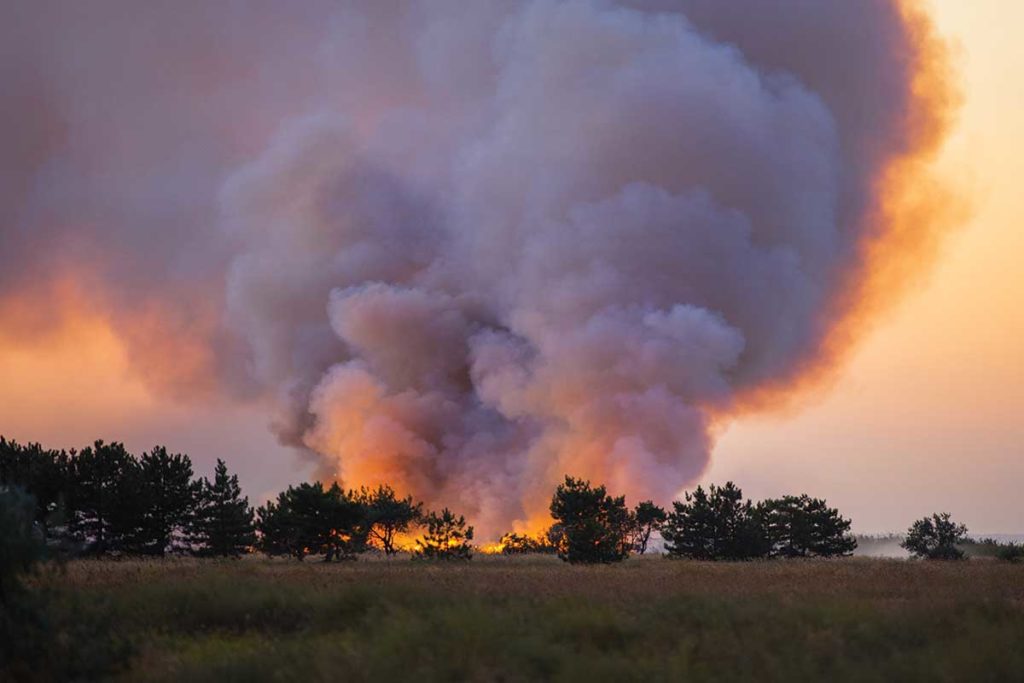 8 Wildfire Prevention Tips for All 50 States